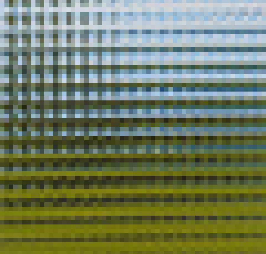 Cross Reed decorative glass