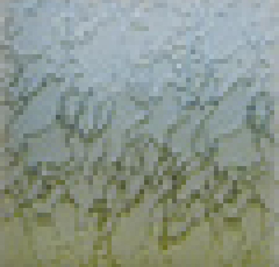Delta Frost decorative glass