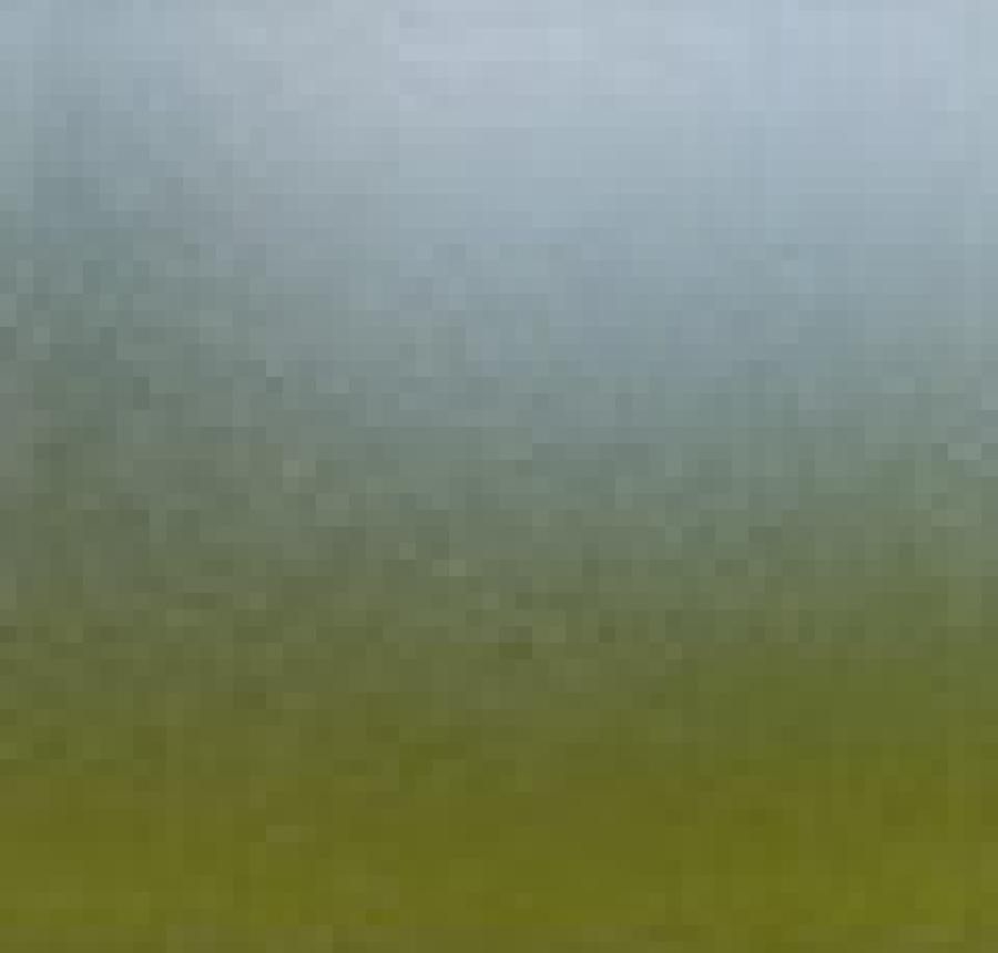 P516 decorative glass