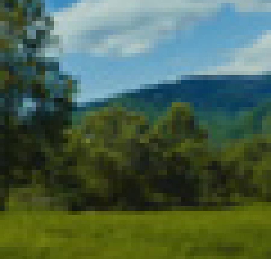 Evergreen tinted glass